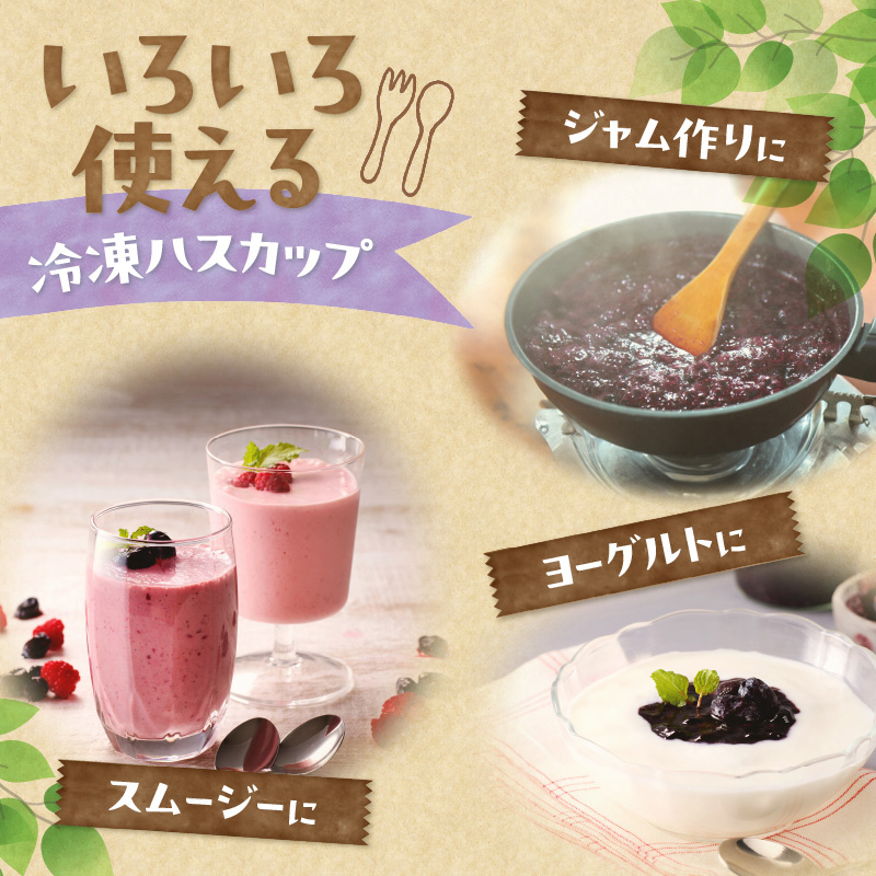 【2026年発送先行予約！】とかちしみず フルーツガーデン の ハスカップ 900g 【 450g × 2 生 果物 ハスカップ 冷凍ハスカップ フルーツ ジャム 甘酸っぱい 冷凍 お取り寄せ 北海道 清水町  】