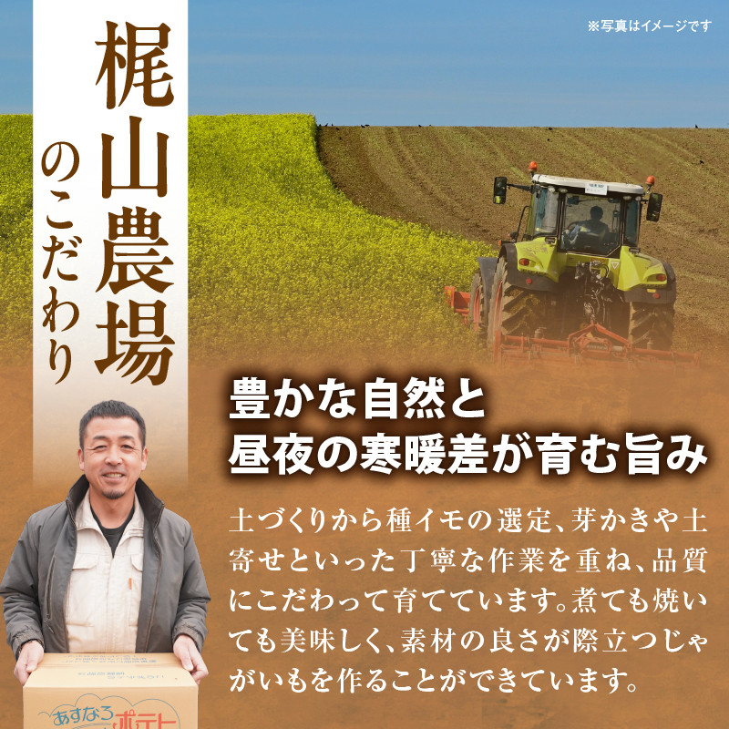 今が旬！すぐ届く！北海道の味覚定番！鮮やかな黄色と甘みが特徴の「キタアカリ」 ホクホク！しっとりなめらか！ 【北海道産 キタアカリ いも じゃがいも きたあかり イモ 約5kg じゃがいも いも 芋 産地直送 秋】
