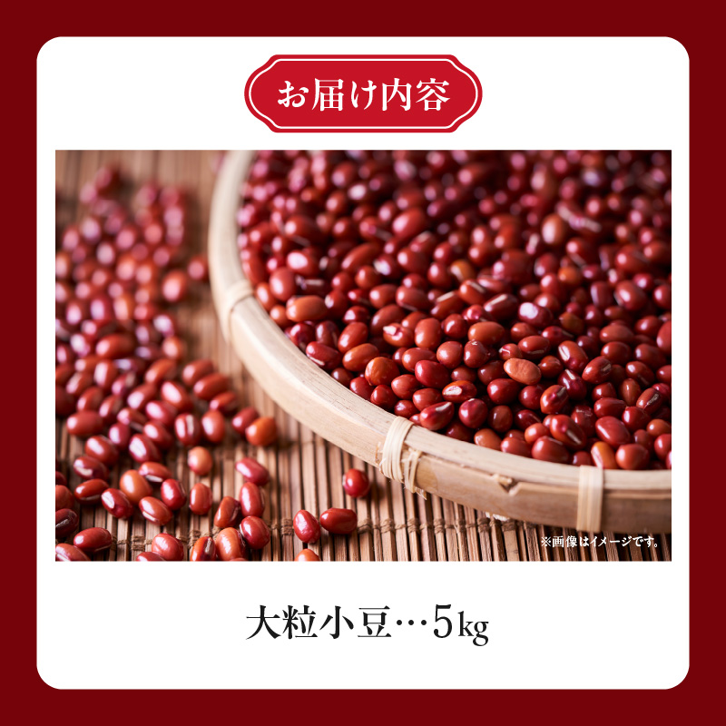 MORITABEANS プレミア 小豆 5kg 【新豆 採れたて あんこ つぶあん こしあん 豆 あずき 十勝産小豆 プレミアム 大粒 豆類 和菓子 タンニン ポリフェノール プレミア小豆 料理 お菓子 製菓 十勝産 北海道 北海道産 国産 十勝 スイーツ ぜんざい おしるこ おはぎ 草餅 もち おもち 餅 甘納豆 きんつば 羊羹 大福 どら焼き 最中 あんみつ 渋み少なめ おすすめ 人気 ランキング ふるさと納税 お取り寄せ 】