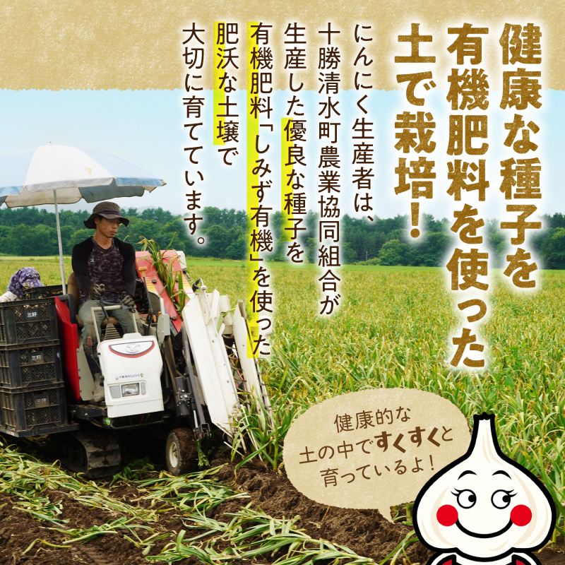 【北海道産】十勝育ちのにんにく Mサイズ(玉) 1kg にんにく ニンニク ガーリック にんにく 北海道産 にんにく_S021-0020