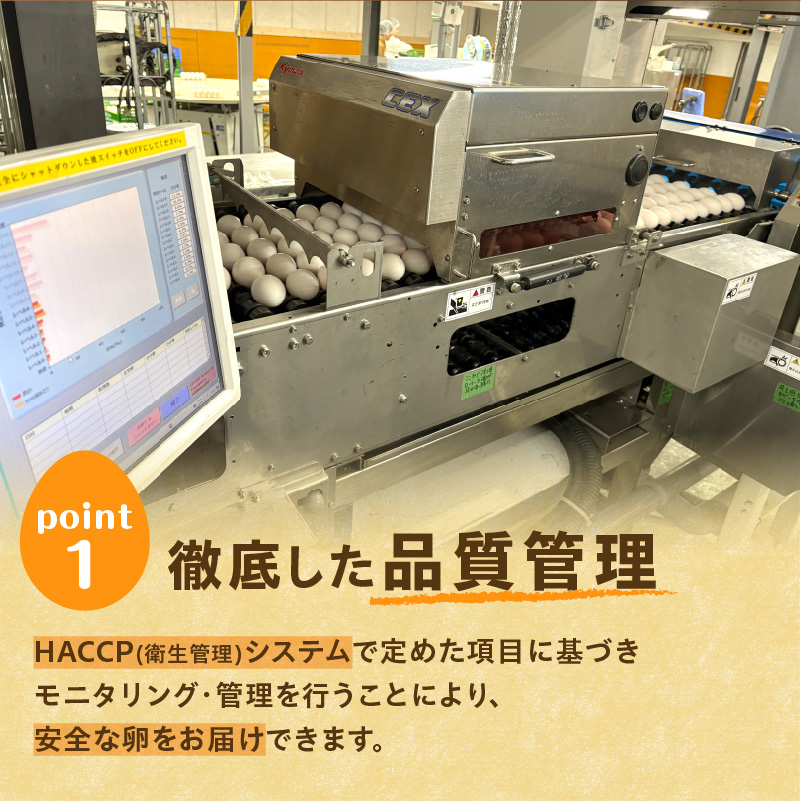 【3回定期便】大平原ファームの新鮮でおいしい卵 計40個(白卵)×3ヶ月【 北海道 清水 卵 120個 こだわり卵 卵かけご飯 玉子 タマゴ 卵焼き TKG 温泉卵 オムレツ ゆでたまご 栄養満点  国産 定期便 】 