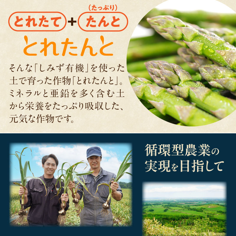 【北海道産】十勝熟成黒にんにく 500g×1 にんにく ニンニク ガーリック 黒にんにく 北海道産にんにく_S021-0027