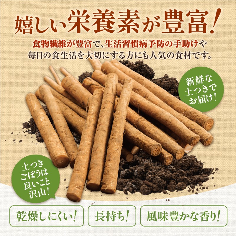 【先行予約】2026年秋 北海道十勝清水町産 秋堀りごぼう 5kg 土付き 手作業収穫 食物繊維豊富 新鮮 野菜 秋の味覚_S045-0003