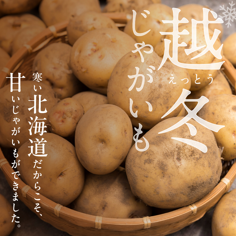 2026年発送分先行受付！ホクホク あま～い！ 低温貯蔵！北海道産 越冬じゃがいも キタアカリ 約10kg 【じゃがいも いも 芋 キタアカリ 産地直送 越冬 10kg】