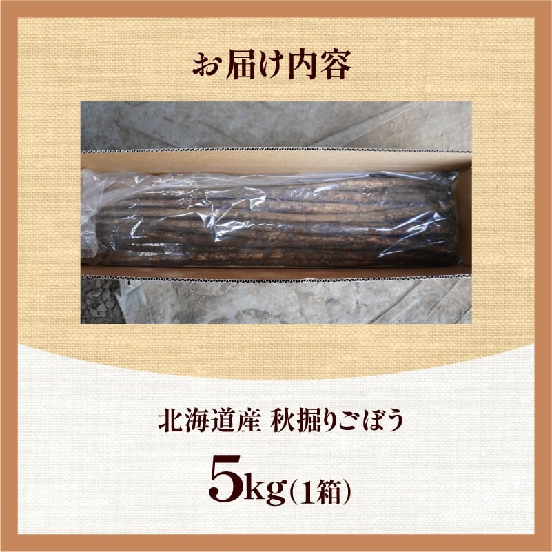 【先行予約】2026年秋 北海道十勝清水町産 秋堀りごぼう 5kg 土付き 手作業収穫 食物繊維豊富 新鮮 野菜 秋の味覚_S045-0003