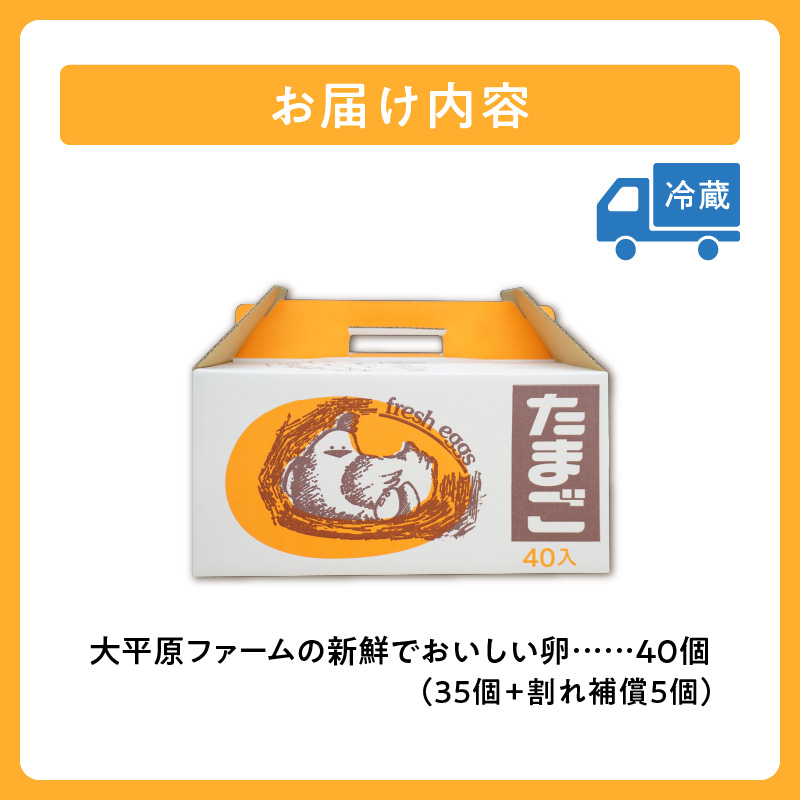 大平原ファームの新鮮でおいしい卵 計40個(白卵)【 北海道 清水 卵 40個 こだわり卵 卵かけご飯 玉子 タマゴ 卵焼き TKG 温泉卵 オムレツ ゆでたまご 栄養満点  国産  】