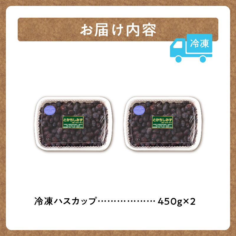 【2026年発送先行予約！】とかちしみず フルーツガーデン の ハスカップ 900g 【 450g × 2 生 果物 ハスカップ 冷凍ハスカップ フルーツ ジャム 甘酸っぱい 冷凍 お取り寄せ 北海道 清水町  】
