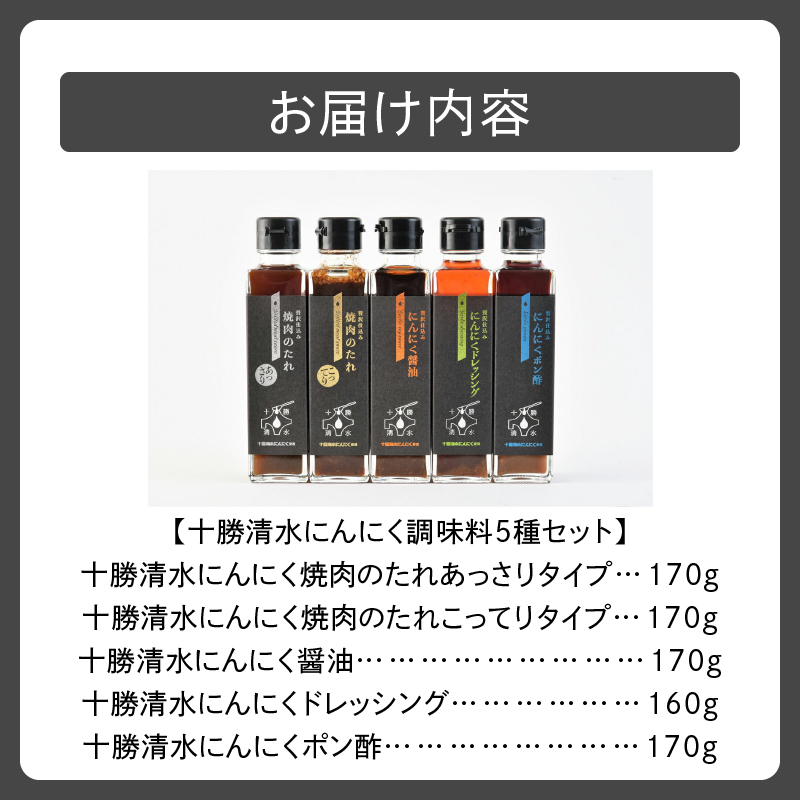 十勝 清水 にんにく 調味料 5種 セット 【 焼肉のたれ あっさり こってり 醤油 ドレッシング ポン酢 各170g サラダ にんにく十勝 お肉 北海道 清水町 】