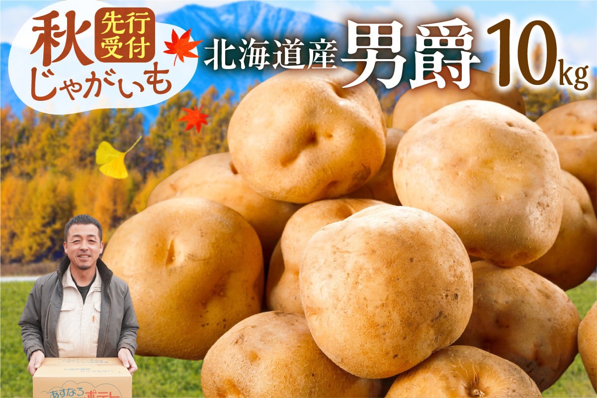 今が旬！すぐ届く！やっぱり定番！ホクホク食感が魅力の「男爵いも」 ホクホク！しっとりなめらか！ 【北海道産 男爵 いも じゃがいも 男爵いも 約10kg じゃがいも いも 芋 産地直送 秋】