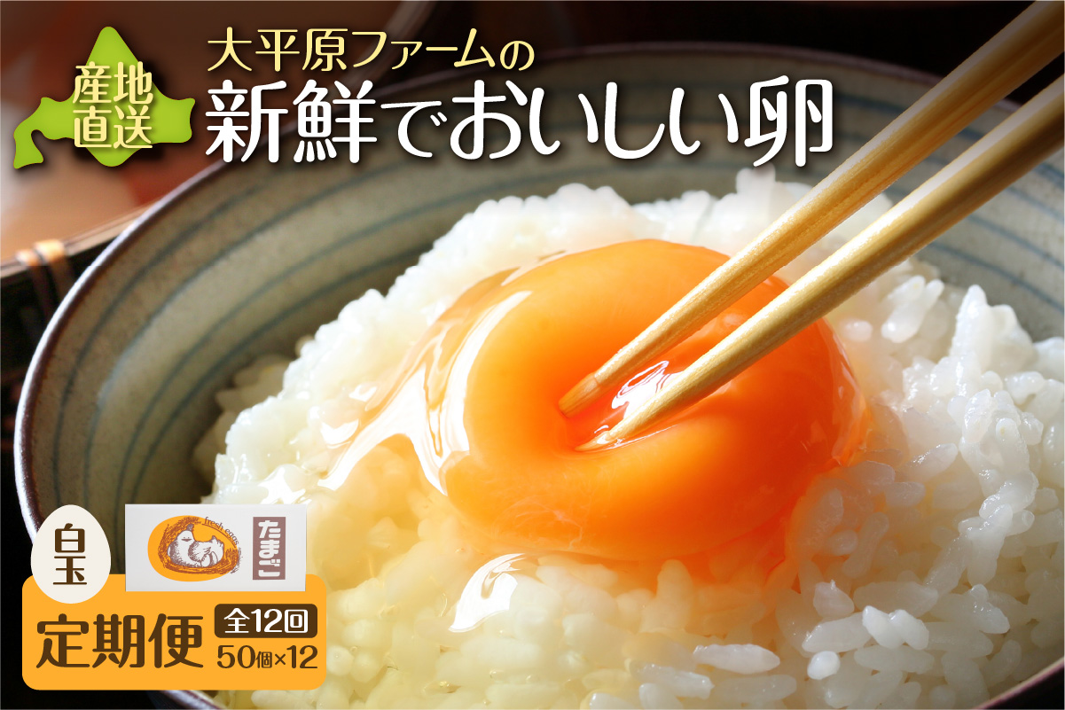 【12回定期便】大平原ファームの新鮮でおいしい卵 計50個(白卵)×12ヶ月【 北海道 清水 卵 600個 こだわり卵 卵かけご飯 玉子 タマゴ 卵焼き TKG 温泉卵 オムレツ ゆでたまご 栄養満点  国産 定期便 】