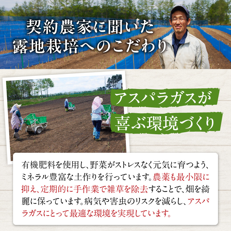 【2026年発送先行予約！】アスパラガス M・L混合 2kg！ 【アスパラ アスパラガス 野菜 旬 北海道産 2026年 アスパラガス 産直 産地直送 お取り寄せ 清水町 北海道】