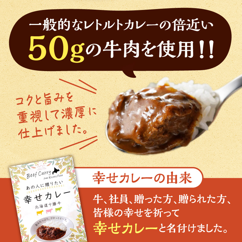 十勝清水 コスモスファーム 幸せ カレー 200g × 6食 【 ビーフカレー 国産 中辛 カレー レトルト 簡単調理 牛肉 常温 保存食 備蓄 手軽 贈り物 お取り寄せ 北海道 清水町  】