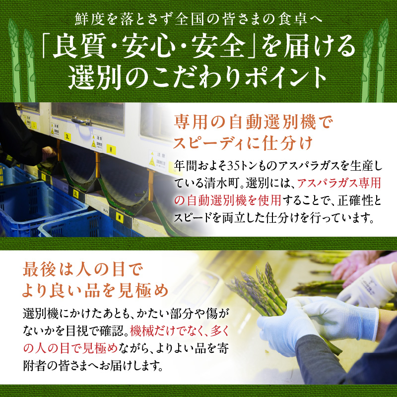 【2026年発送先行予約！】訳ありアスパラガス 2kg！ 【アスパラ アスパラガス 野菜 訳ありアスパラ 旬 訳ありアスパラガス 保存 北海道産 2026年 産直 産地直送 お取り寄せ 清水町 北海道】