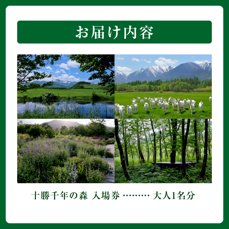 十勝千年の森 入場券 大人1名分【北海道 清水町 自然 十勝千年の森 十勝毎日新聞社 ガーデン 入場券 1名 レジャー おでかけ】