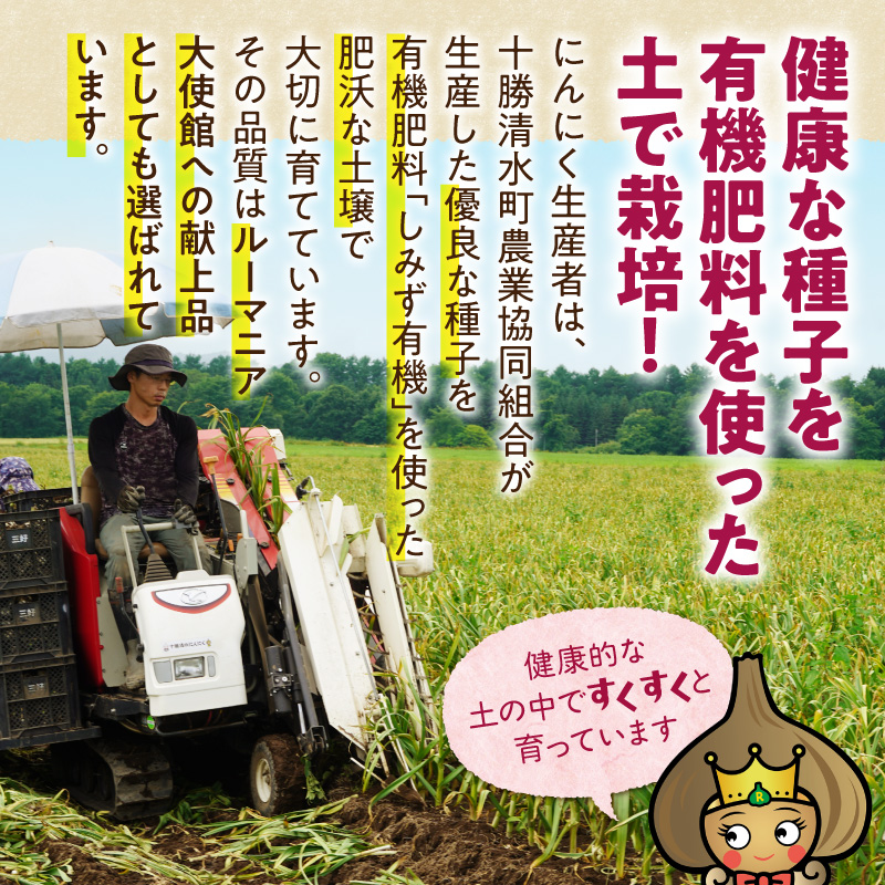 【北海道産】十勝熟成黒にんにく カップ 230g にんにく ニンニク ガーリック 黒にんにく 北海道産にんにく_S021-0029