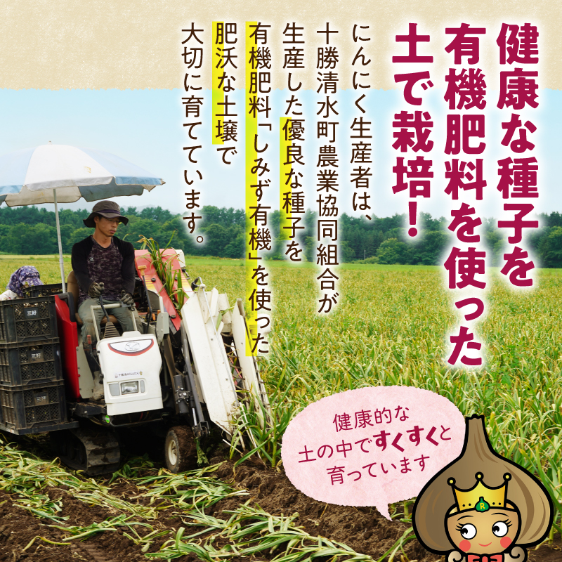 北海道十勝熟成黒にんにく 500g×2 【 十勝清水町産 にんにく ニンニク 野菜 甘み フルーティー ガーリック 薬味 お取り寄せ 清水町  】 