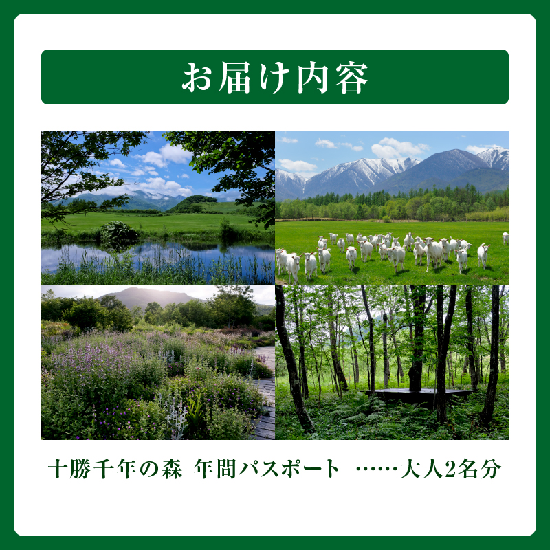 十勝千年の森 年間パス入場券 大人2名分【北海道 清水町 自然 十勝千年の森 十勝毎日新聞社 ガーデン 入場券 年間パス レジャー おでかけ】