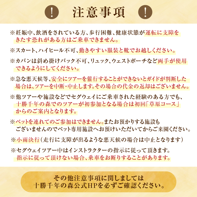 十勝千年の森 入場券＋セグウェイツアー券 1名分【北海道 清水町 自然 十勝千年の森 十勝毎日新聞社 ガーデン 入場券 セグウェイ セグウェイ社公認 ツアー レジャー おでかけ】
