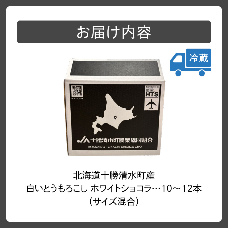 【2026年8月～発送開始！】北海道十勝清水町産 白いとうもろこし ホワイトショコラ サイズ混合 10～12本 【北海道産 2026年 とうもろこし とうきび 産直 産地直送 清水町 北海道】