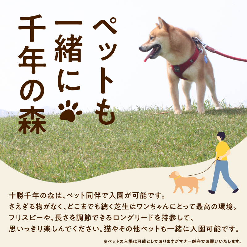 十勝千年の森 年間パス入場券 大人1名分【北海道 清水町 自然 十勝千年の森 十勝毎日新聞社 ガーデン 入場券 年間パス レジャー おでかけ】