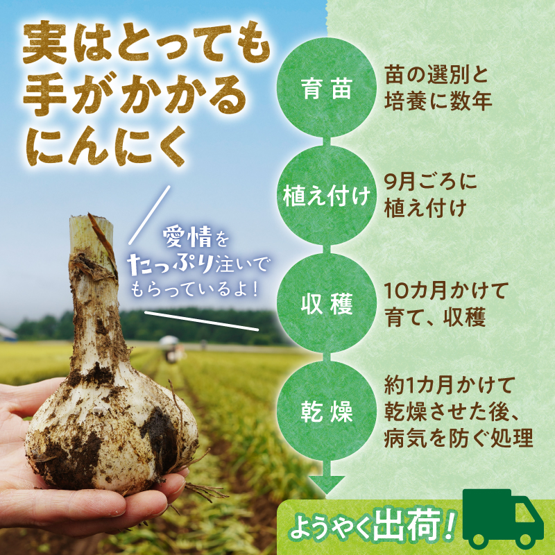 【北海道産】十勝育ちのにんにく Lサイズ(玉) 1kg にんにく ニンニク ガーリック にんにく 北海道産 にんにく_S021-0021