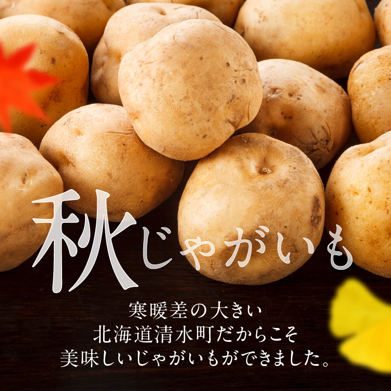 今が旬！すぐ届く！北海道の味覚定番！鮮やかな黄色と甘みが特徴の「キタアカリ」 ホクホク！しっとりなめらか！ 【北海道産 キタアカリ いも じゃがいも きたあかり イモ 約10kg じゃがいも いも 芋 産地直送 秋】