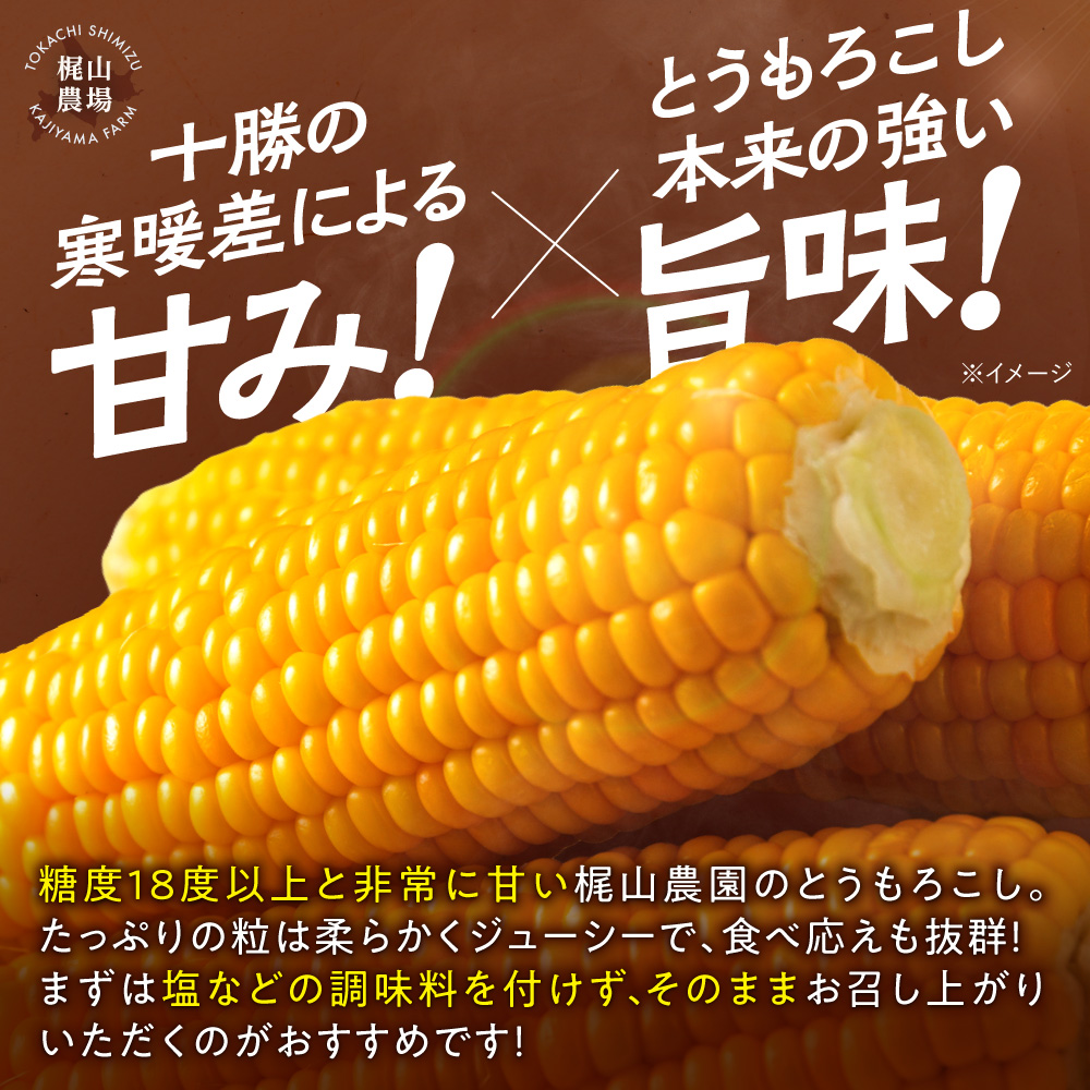 先行受付！【2026年8月頃～発送開始！】北海道十勝清水町産 恵味 サイズ混合 10本 北海道産 2026年 とうもろこし とうきび 産直 産地直送 清水町 北海道