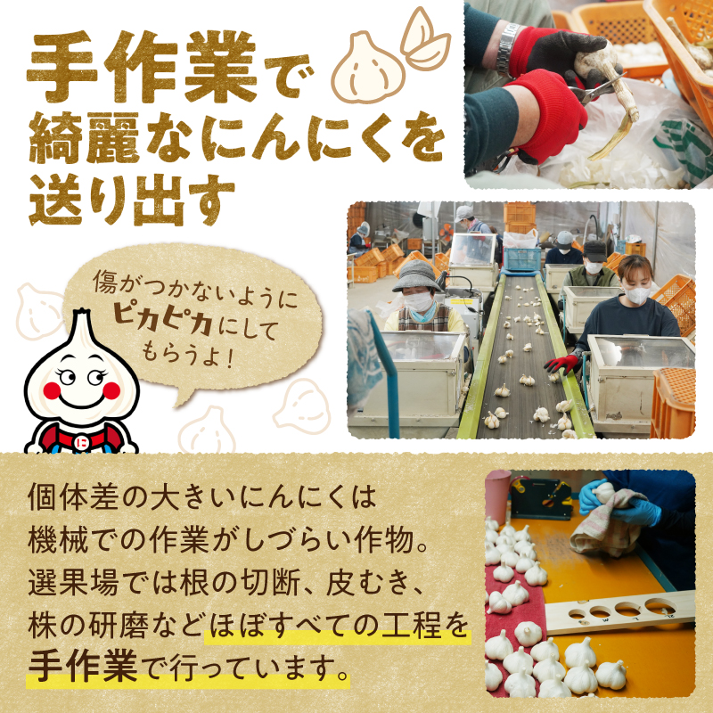【北海道産】十勝育ちのにんにく バラ5kg にんにく ニンニク ガーリック にんにく 北海道産 にんにく_S021-0026