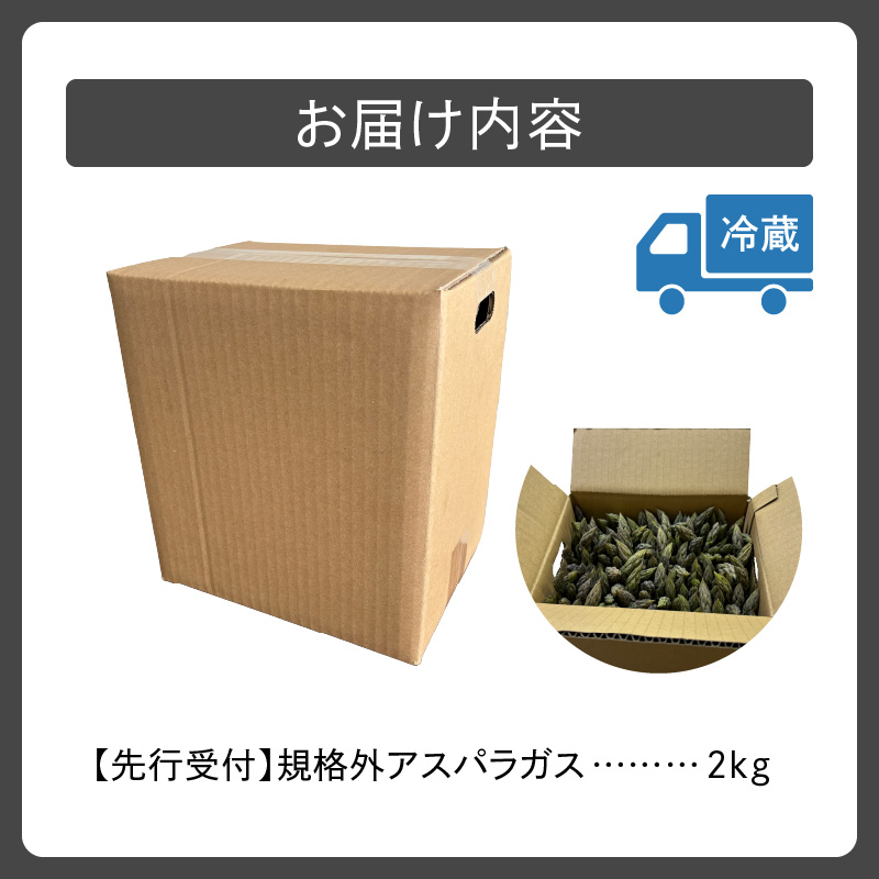 【2026年発送先行予約！】訳ありアスパラガス 2kg！ 【アスパラ アスパラガス 野菜 訳ありアスパラ 旬 訳ありアスパラガス 保存 北海道産 2026年 産直 産地直送 お取り寄せ 清水町 北海道】
