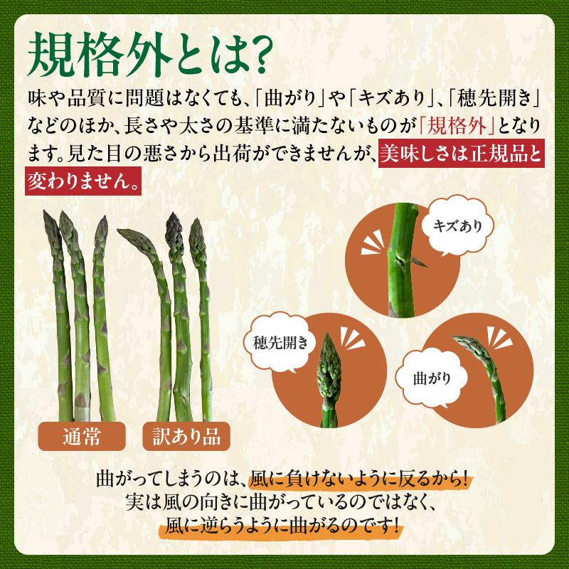 【2026年発送先行予約！】訳ありアスパラガス 1kg！ 【アスパラ アスパラガス 野菜 訳ありアスパラ 旬 訳ありアスパラガス 保存 北海道産 2026年 産直 産地直送 お取り寄せ 清水町 北海道】