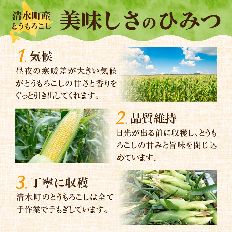 【2026年8月～発送開始！】北海道十勝清水町産 黄金の甘さ ゴールドラッシュ！サイズ混合 10～12本 【北海道産 2026年 とうもろこし とうきび 産直 産地直送 サイズ混合 野菜 家庭用 清水町 北海道】