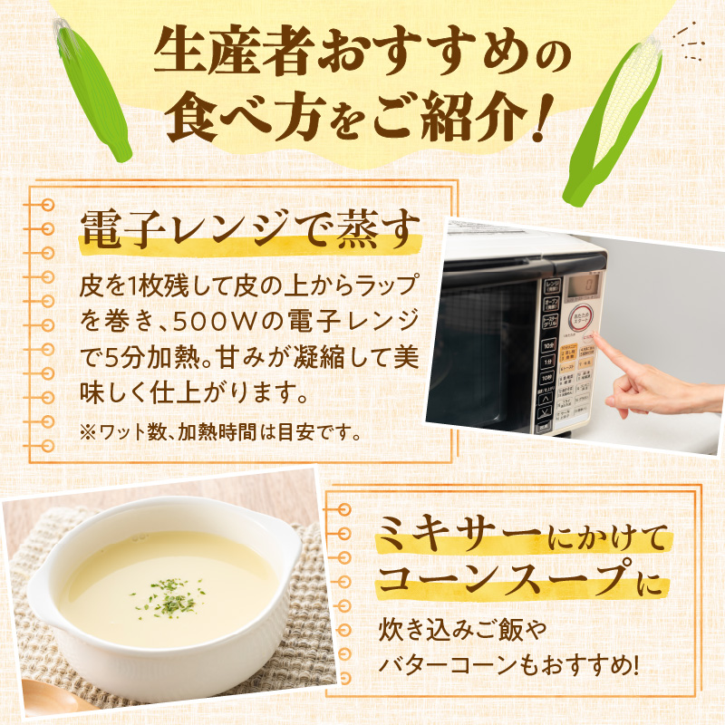 【2026年8月～発送開始！】北海道十勝清水町産 白いとうもろこし ホワイトショコラ サイズ混合 10～12本 【北海道産 2026年 とうもろこし とうきび 産直 産地直送 清水町 北海道】