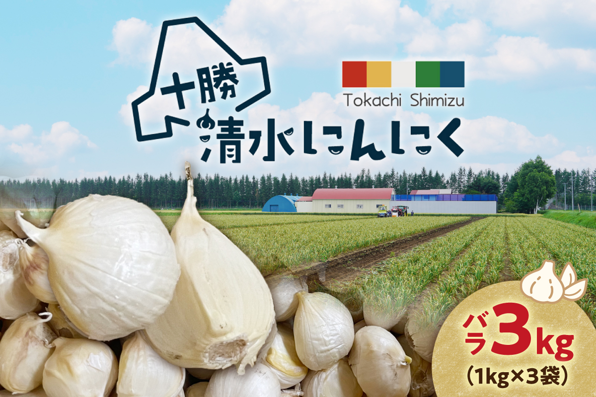 【北海道産】十勝育ちのにんにく バラ3kg にんにく ニンニク ガーリック にんにく 北海道産 にんにく_S021-0024