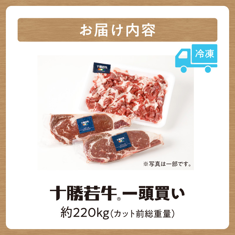 十勝清水町産 ブランド牛 十勝若牛1頭買い！総重量約220㎏！定期便 選べるカット・配送 _S003-0031