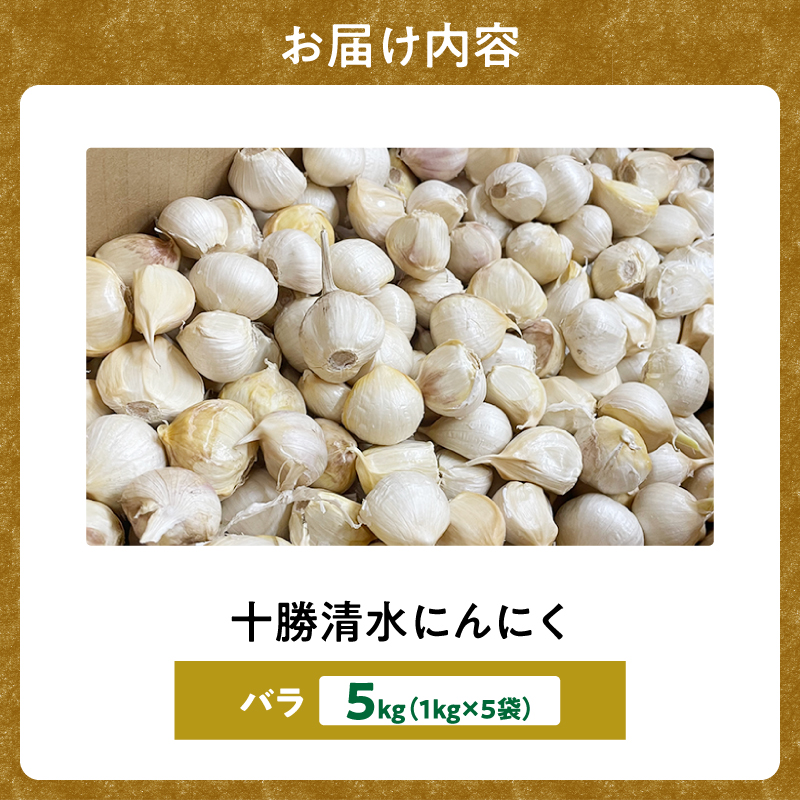 【北海道産】十勝育ちのにんにく バラ5kg にんにく ニンニク ガーリック にんにく 北海道産 にんにく_S021-0026
