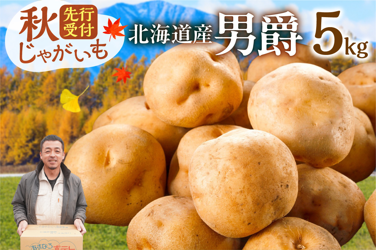 今が旬！すぐ届く！ホクホク食感が魅力の「男爵いも」 ホクホク！しっとりなめらか！ 【北海道産 男爵 いも じゃがいも 男爵いも 約5kg じゃがいも いも 芋 産地直送 秋】