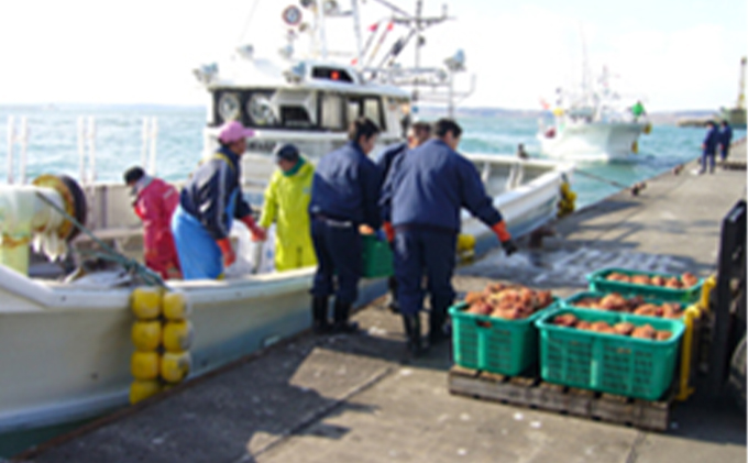 先行予約 蟹屋厳選　北海道 厚岸沖産　特上等級 ゆでたて 毛がに (500g前後×2尾 蟹 毛カニ 毛ガニ 冷蔵 茹でガニ 