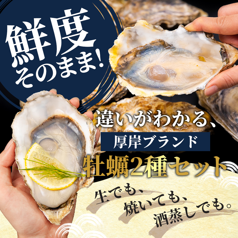 2か月 定期便 北海道 厚岸産 殻付牡蠣の食べ比べセット！（生食用）  牡蠣 カキ かき 生食 生食用 生牡蠣  食べ比べ 魚貝類 