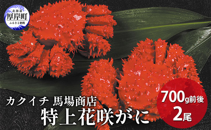 蟹屋厳選  北海道厚岸産 特上花咲がに 700g前後×2尾 蟹 かに 海の幸 海鮮 国産 北海道産 年末年始 準備 お祝い メニュー 親戚 集まり つまみ お酒 あて 急速冷凍 