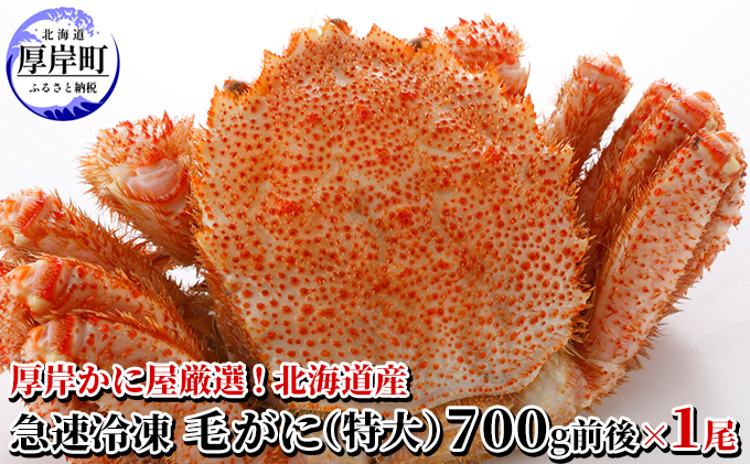 かに屋厳選 北海道産 急速 冷凍 毛がに（特大）700g前後×1尾 蟹 かに　 海の幸 海鮮 国産 準備 お祝い メニュー 親戚 集まり つまみ お酒 あて 急速冷凍 身 ぎっしり 