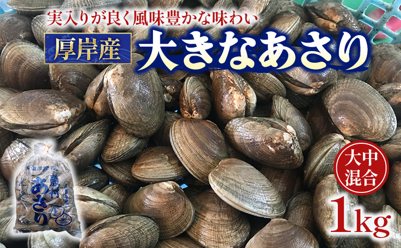 あさり 漁師から直で仕入れ！厚岸産の大きなあさり 1kg 海鮮 旨味 ミネラル豊富 タウリン アサリ みそ汁 酒蒸し 砂出し済 
