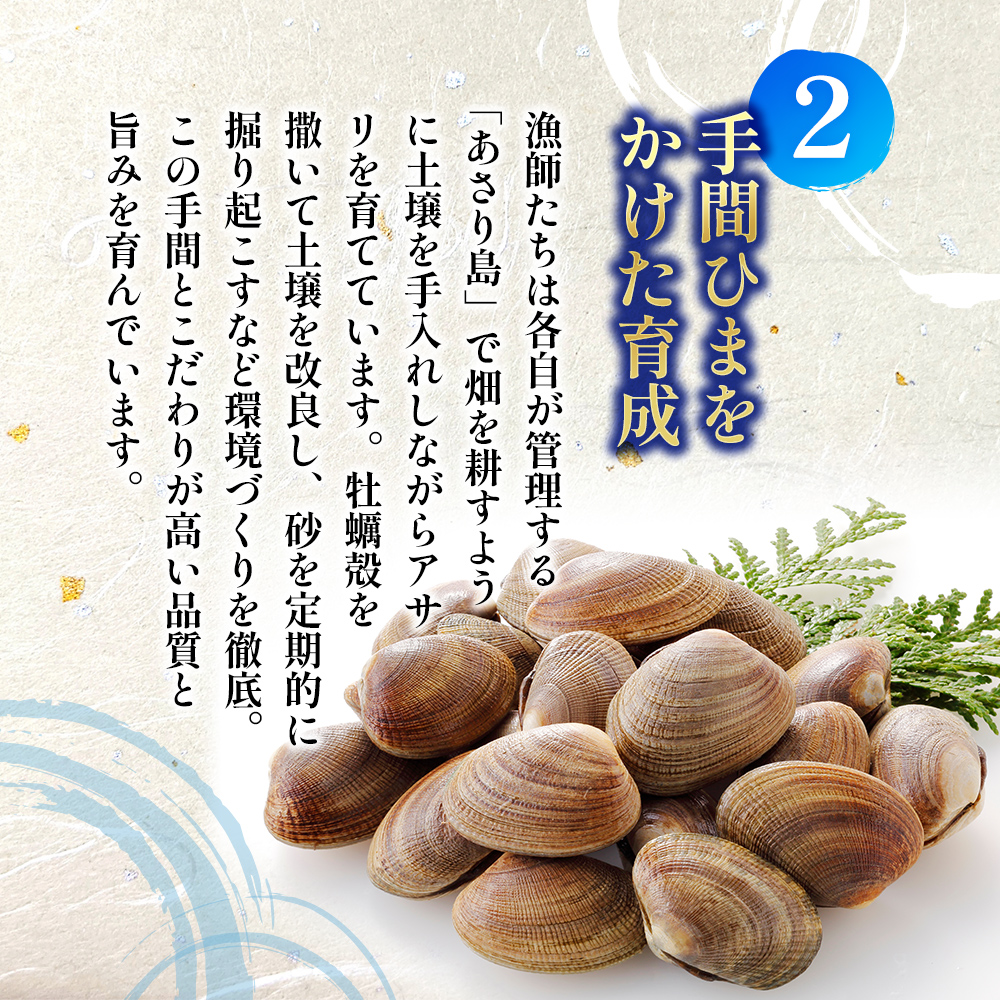 あさり 漁師から直で仕入れ！厚岸産の大きなあさり 1kg 海鮮 旨味 ミネラル豊富 タウリン アサリ みそ汁 酒蒸し 砂出し済 