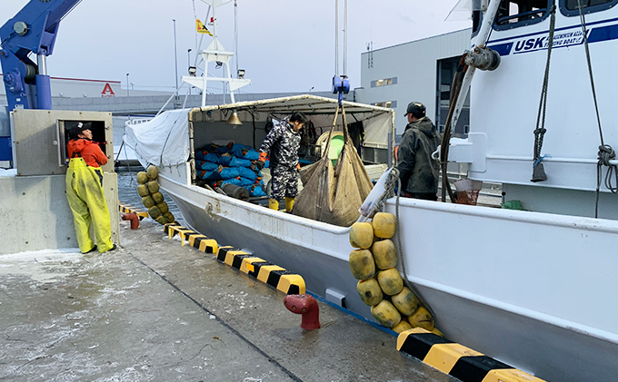 北海道 厚岸産 超極太 ボイルたこ足 2本（約3kg） 魚介類 海鮮 海の幸 刺身 タコ焼き タコ飯 アヒージョ ミズダコ 真蛸 真空包装 急速冷凍 歯ごたえ 旨み 低糖質 低カロリー 