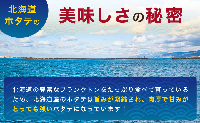 【 2ヵ月 定期便 】北海道 訳あり 冷凍 帆立 貝柱 1.1kg (各回1.1kg×2ヶ月分,合計約2.2kg)  刺身 新鮮 魚貝類 