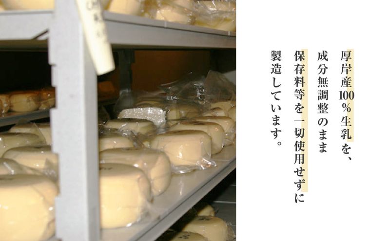 北海道 厚岸町産 森高牧場 チーズ ゴーダタイプ 5個（125g×5個）【株式会社森高牧場】[北海道 乳製品 チーズ ゴーダチーズ 加工食品 ナチュラルチーズ ]
