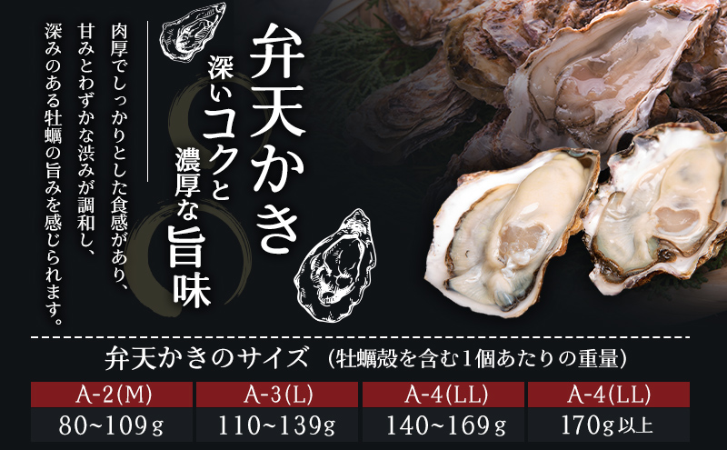 北海道 牡蠣 3種 食べ比べ セット 厚岸オイスター★オールスターズ 生食 生牡蠣 貝付き牡蠣 貝 海鮮 魚介類 殻付き牡蠣 カキ 