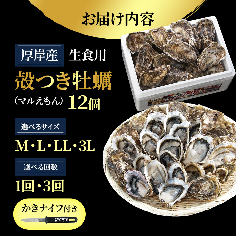 北海道厚岸産 牡蠣 Lサイズ 1ダース（12個入り） 生食用 生牡蠣 貝付き牡蠣 貝 海鮮 魚介類 シーフード 殻付き牡蠣 マルえもん メルマガ掲載商品1 