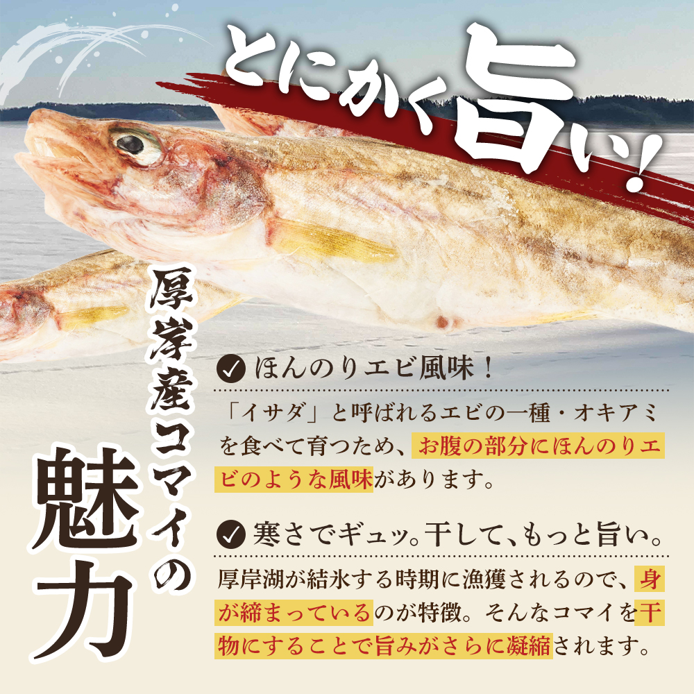 先行予約 2027年2月発送 北海道 厚岸産 丸干しコマイ 190g×5パック ソウルフード 魚貝類 干物 焼魚 おつまみ 冷凍 厚岸湖 天日干し 焼くだけ おかず 