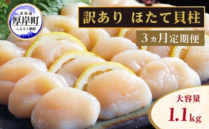 【 3ヵ月 定期便 】北海道 訳あり 冷凍 帆立 貝柱 1.1kg (各回1.1kg×3ヶ月分,合計約3.3kg)  お刺身 新鮮 魚貝類 