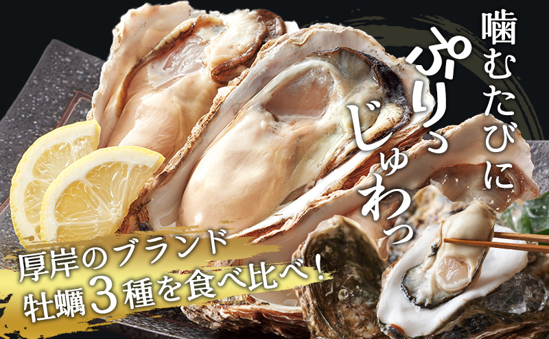北海道 牡蠣 3種 食べ比べ セット 厚岸オイスターハーフ ★オールスターズ  生食 